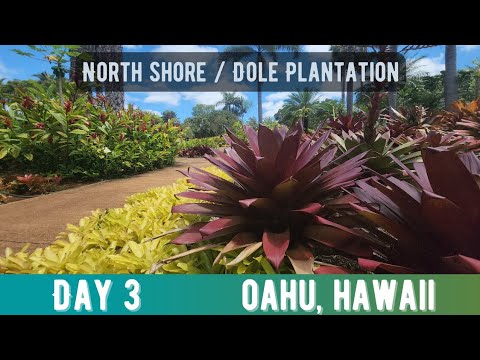 Day 3 Oahu Hawaii North Shore Scenic Drive & Dole Plantation Tour