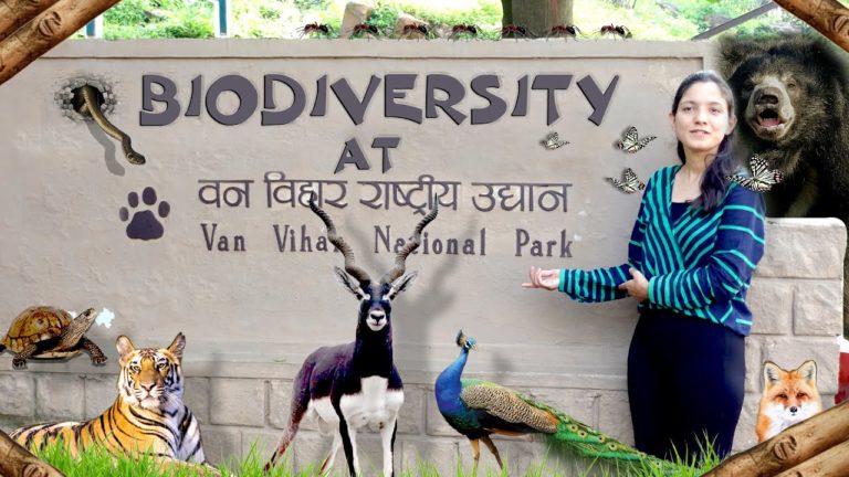 National Park Visit I Van Vihar Bhopal I Biodiversity I A Vlog by Preeti Mam I The Living World