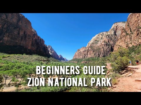 1st Time Going To Zion National Park Visitors ULTIMATE GUIDE