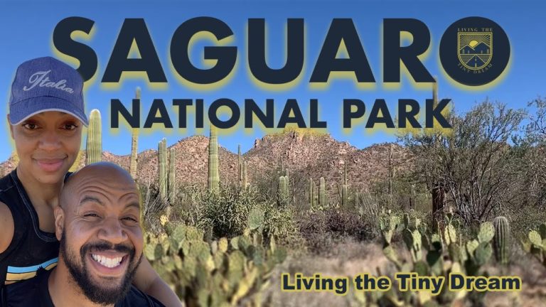 Tiny House Adventurers | Saguaro National Park