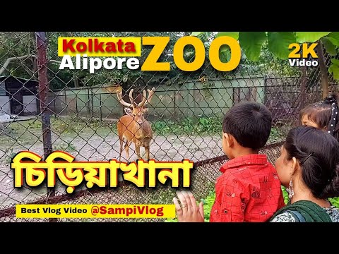 Kolkata Alipore Zoo | Alipore Chiriyakhana | Best Zoo Vlog Bangla #Banglavlog #zoo #kolkataZoo