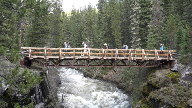 A Yellowstone Backpacking Adventure/ Hellroaring Creek/Bull Mountain/Black Canyon of the Yellowstone